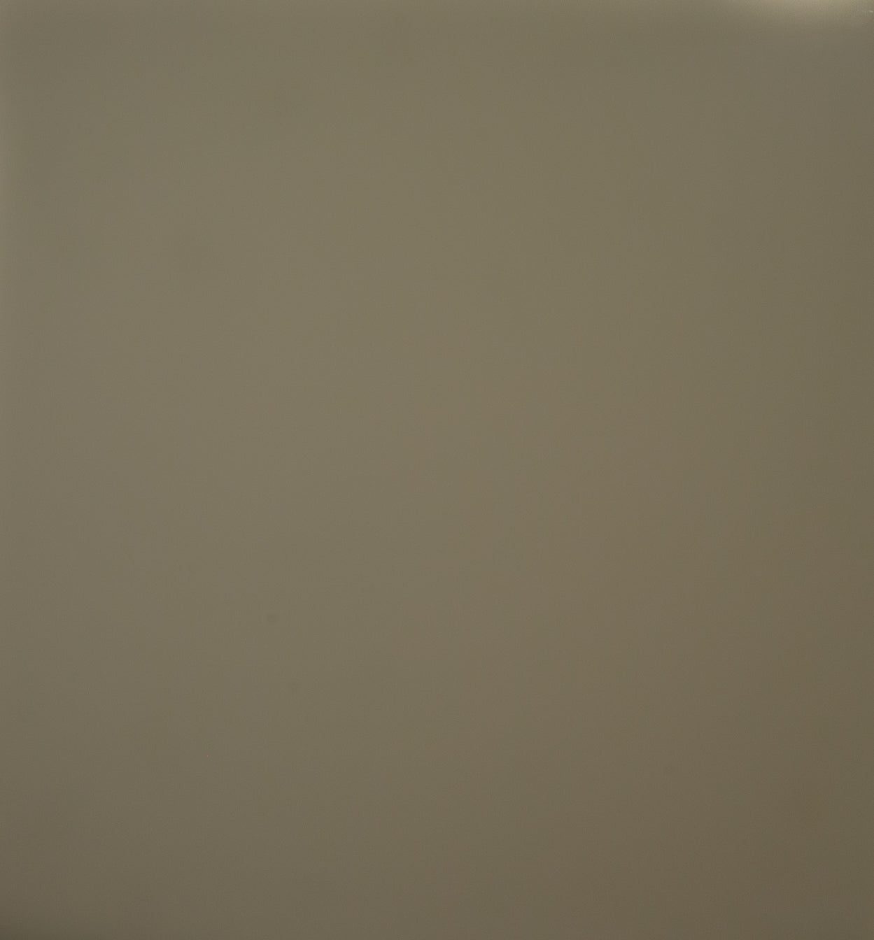 Dye Beige 431-500 ml (PE700925)